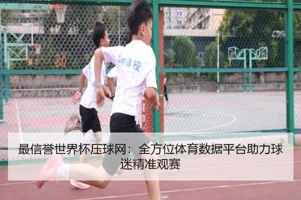 最信誉世界杯压球网：全方位体育数据平台助力球迷精准观赛