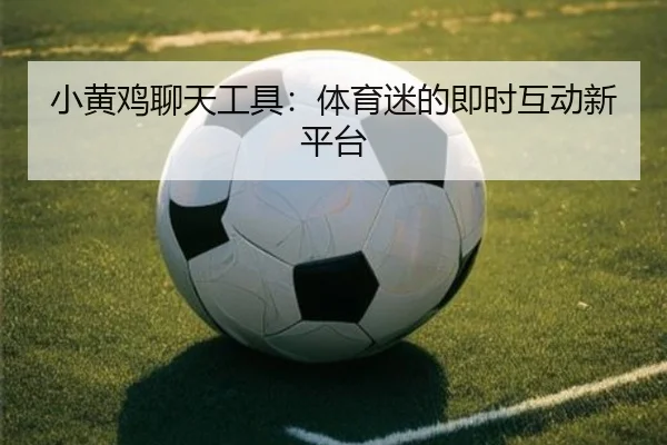 小黄鸡聊天工具：体育迷的即时互动新平台