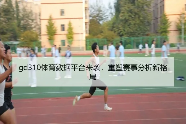 gd310体育数据平台来袭，重塑赛事分析新格局