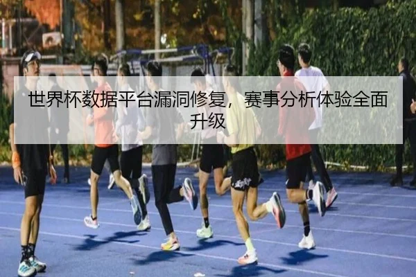 世界杯数据平台漏洞修复，赛事分析体验全面升级